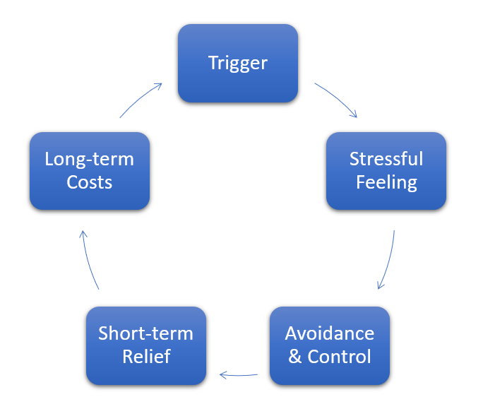 The Therapy Process - Scott Rower PhD